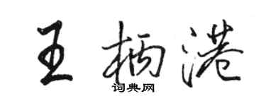 骆恒光王柄港行书个性签名怎么写