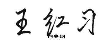 骆恒光王红习行书个性签名怎么写