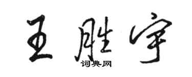 骆恒光王胜宇行书个性签名怎么写