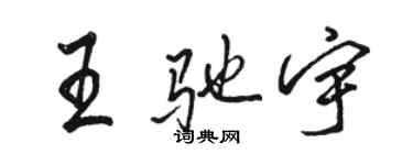 骆恒光王驰宇行书个性签名怎么写