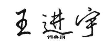 骆恒光王进宇行书个性签名怎么写