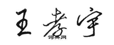 骆恒光王孝宇行书个性签名怎么写