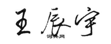骆恒光王辰宇行书个性签名怎么写