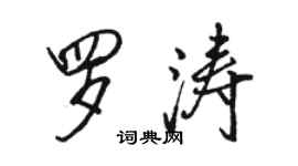 骆恒光罗涛行书个性签名怎么写