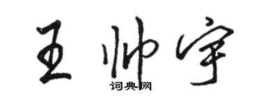 骆恒光王帅宇行书个性签名怎么写