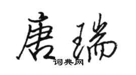 骆恒光唐瑞行书个性签名怎么写