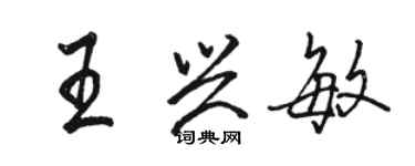 骆恒光王兴敏行书个性签名怎么写