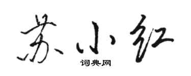 骆恒光苏小红行书个性签名怎么写