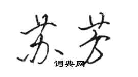 骆恒光苏芳行书个性签名怎么写