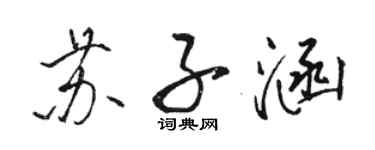 骆恒光苏子涵行书个性签名怎么写