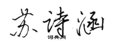 骆恒光苏诗涵行书个性签名怎么写