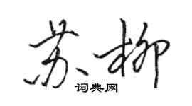 骆恒光苏柳行书个性签名怎么写