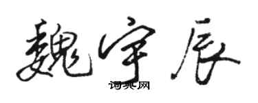 骆恒光魏宇辰行书个性签名怎么写