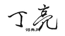 骆恒光丁亮行书个性签名怎么写