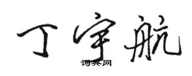 骆恒光丁宇航行书个性签名怎么写