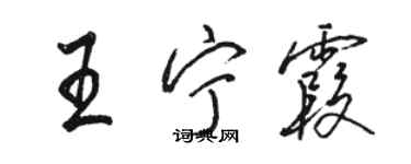 骆恒光王宁霞行书个性签名怎么写