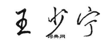 骆恒光王少宁行书个性签名怎么写