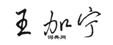 骆恒光王加宁行书个性签名怎么写