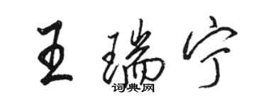 骆恒光王瑞宁行书个性签名怎么写