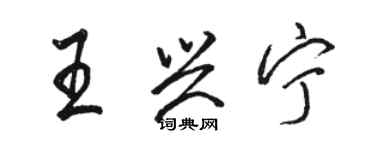 骆恒光王兴宁行书个性签名怎么写