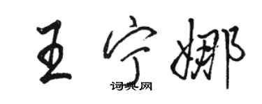 骆恒光王宁娜行书个性签名怎么写