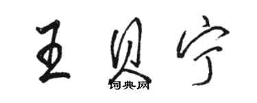 骆恒光王贝宁行书个性签名怎么写