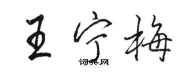 骆恒光王宁梅行书个性签名怎么写