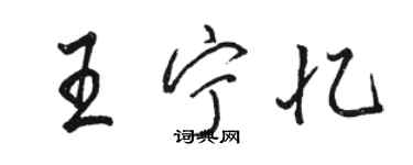 骆恒光王宁忆行书个性签名怎么写