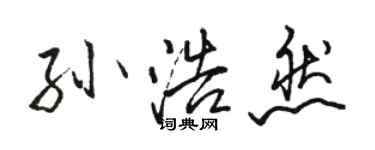 骆恒光孙浩然行书个性签名怎么写