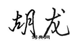 骆恒光胡龙行书个性签名怎么写