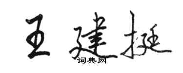 骆恒光王建挺行书个性签名怎么写