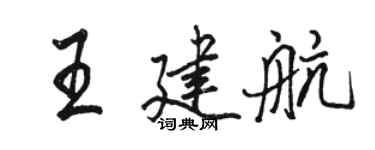 骆恒光王建航行书个性签名怎么写