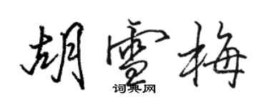 骆恒光胡雪梅行书个性签名怎么写