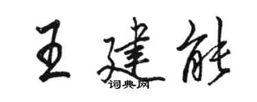 骆恒光王建能行书个性签名怎么写