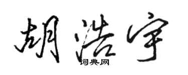 骆恒光胡浩宇行书个性签名怎么写
