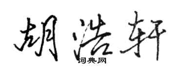 骆恒光胡浩轩行书个性签名怎么写