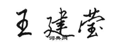 骆恒光王建莹行书个性签名怎么写