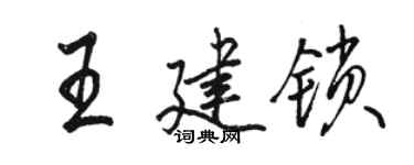 骆恒光王建锁行书个性签名怎么写
