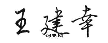 骆恒光王建幸行书个性签名怎么写