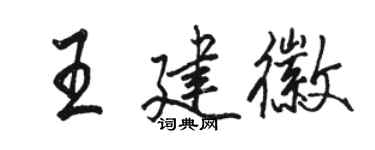 骆恒光王建徽行书个性签名怎么写