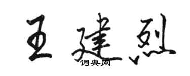 骆恒光王建烈行书个性签名怎么写