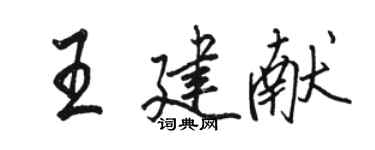 骆恒光王建献行书个性签名怎么写
