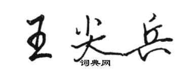 骆恒光王尖兵行书个性签名怎么写