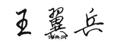骆恒光王翼兵行书个性签名怎么写