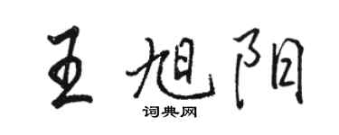 骆恒光王旭阳行书个性签名怎么写