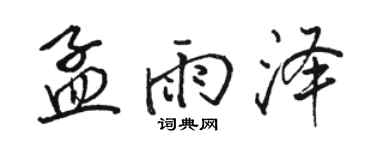 骆恒光孟雨泽行书个性签名怎么写