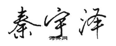 骆恒光秦宇泽行书个性签名怎么写