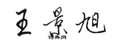 骆恒光王景旭行书个性签名怎么写