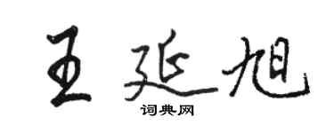 骆恒光王延旭行书个性签名怎么写