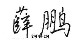 骆恒光薛鹏行书个性签名怎么写
